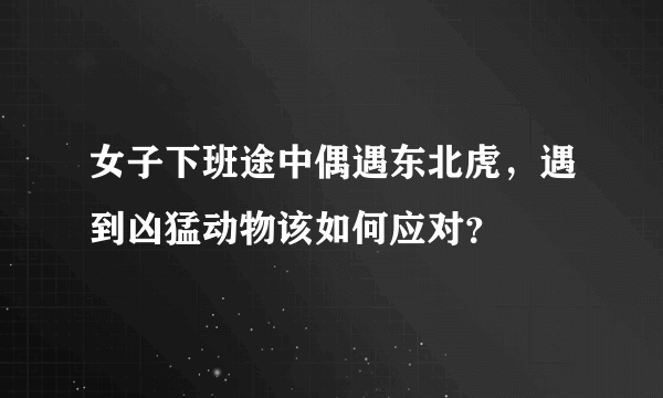 女子下班途中偶遇东北虎，遇到凶猛动物该如何应对？