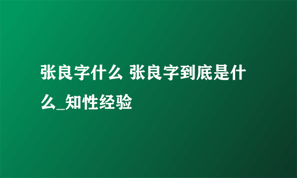 张良字什么 张良字到底是什么_知性经验