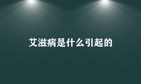 艾滋病是什么引起的