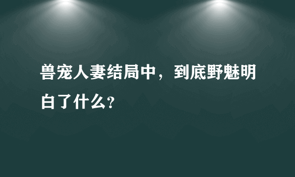 兽宠人妻结局中，到底野魅明白了什么？