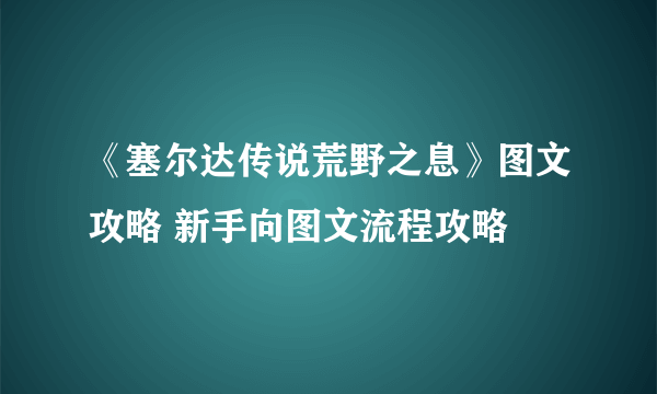 《塞尔达传说荒野之息》图文攻略 新手向图文流程攻略