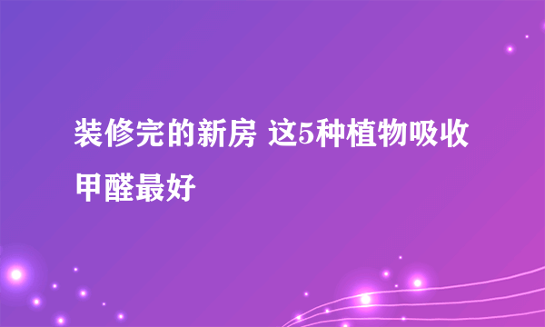 装修完的新房 这5种植物吸收甲醛最好