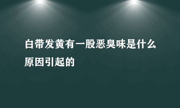 白带发黄有一股恶臭味是什么原因引起的