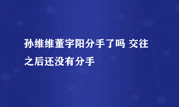 孙维维董宇阳分手了吗 交往之后还没有分手