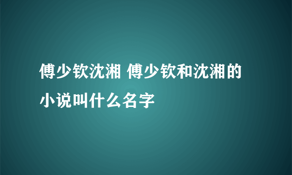 傅少钦沈湘 傅少钦和沈湘的小说叫什么名字