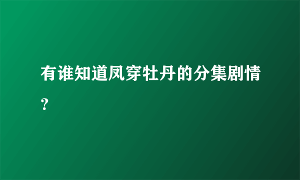 有谁知道凤穿牡丹的分集剧情？