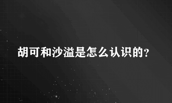 胡可和沙溢是怎么认识的？