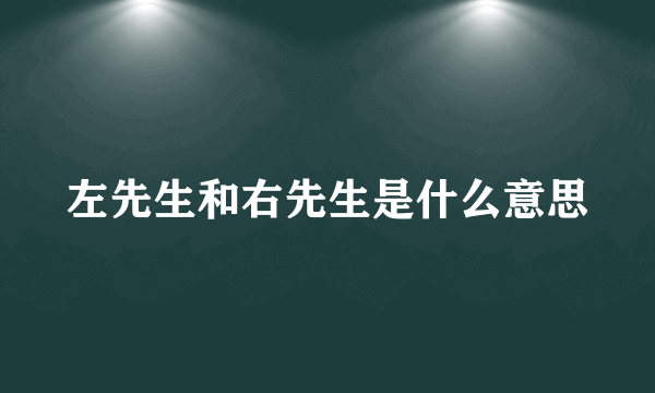 左先生和右先生是什么意思