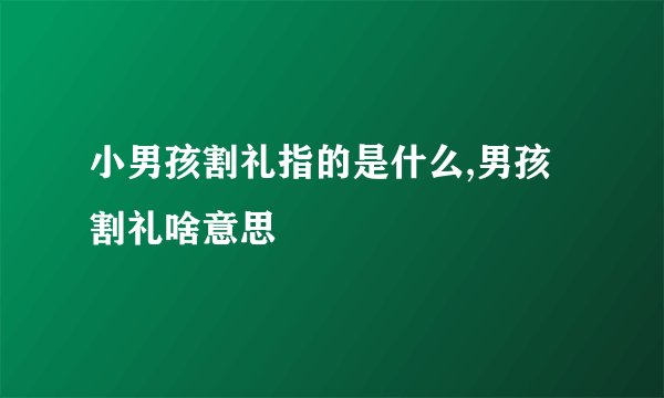 小男孩割礼指的是什么,男孩割礼啥意思