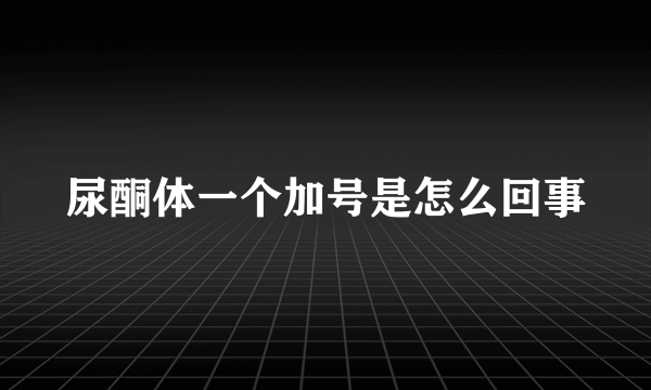 尿酮体一个加号是怎么回事