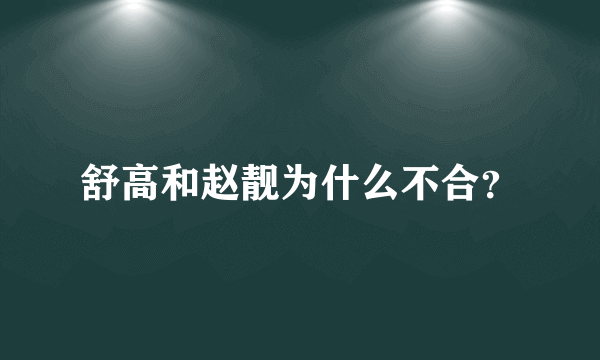 舒高和赵靓为什么不合？