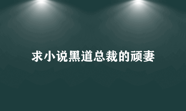 求小说黑道总裁的顽妻