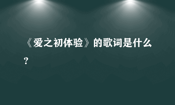 《爱之初体验》的歌词是什么？