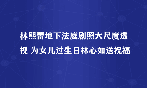 林熙蕾地下法庭剧照大尺度透视 为女儿过生日林心如送祝福