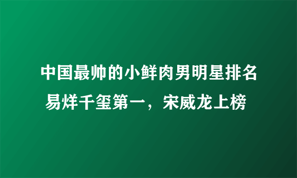 中国最帅的小鲜肉男明星排名 易烊千玺第一，宋威龙上榜