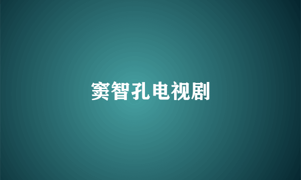 窦智孔电视剧