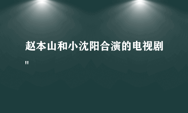 赵本山和小沈阳合演的电视剧