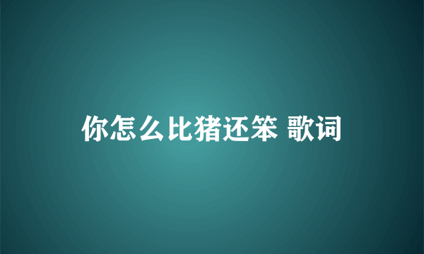 你怎么比猪还笨 歌词