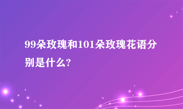 99朵玫瑰和101朵玫瑰花语分别是什么?