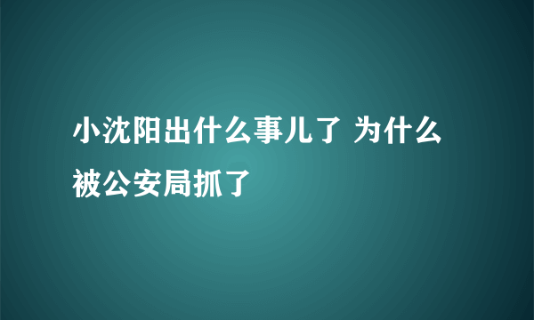 小沈阳出什么事儿了 为什么被公安局抓了