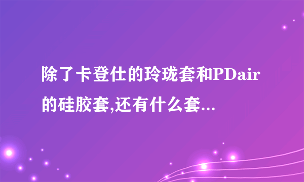 除了卡登仕的玲珑套和PDair的硅胶套,还有什么套子能套N1么...