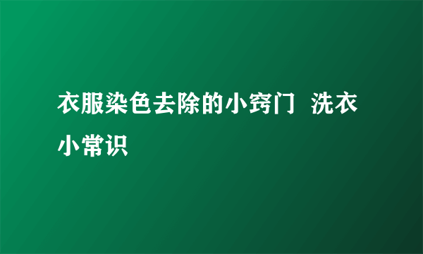 衣服染色去除的小窍门  洗衣小常识