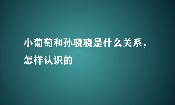 小葡萄和孙骁骁是什么关系，怎样认识的