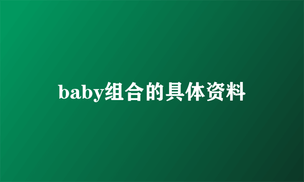 baby组合的具体资料