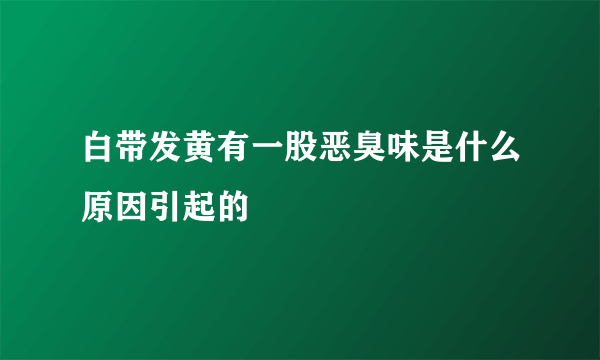 白带发黄有一股恶臭味是什么原因引起的