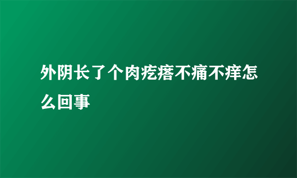 外阴长了个肉疙瘩不痛不痒怎么回事