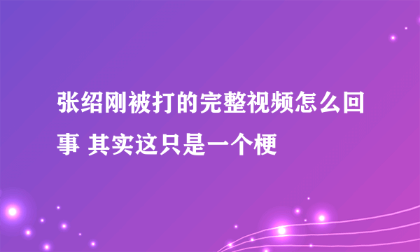 张绍刚被打的完整视频怎么回事 其实这只是一个梗