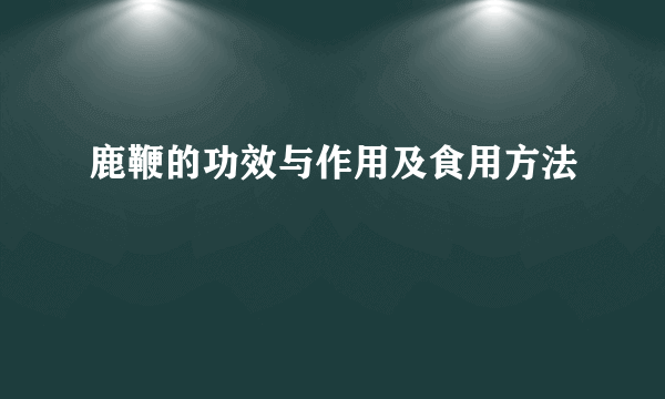 鹿鞭的功效与作用及食用方法