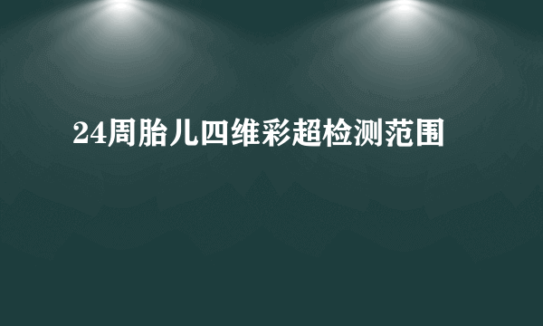 24周胎儿四维彩超检测范围