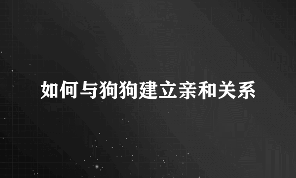 如何与狗狗建立亲和关系