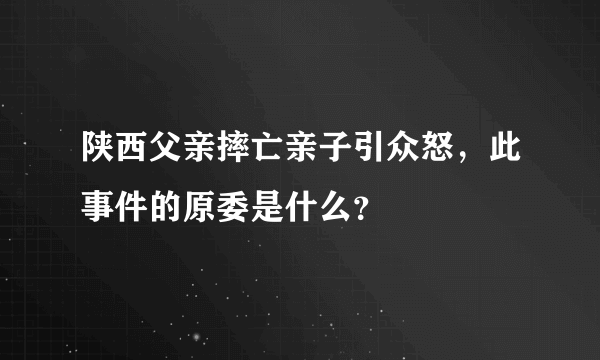 陕西父亲摔亡亲子引众怒，此事件的原委是什么？