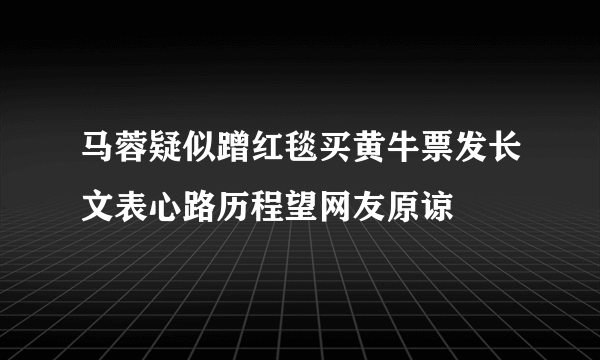 马蓉疑似蹭红毯买黄牛票发长文表心路历程望网友原谅