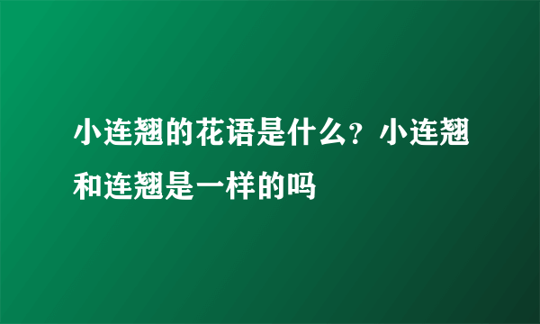 小连翘的花语是什么？小连翘和连翘是一样的吗