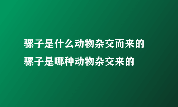 骡子是什么动物杂交而来的 骡子是哪种动物杂交来的