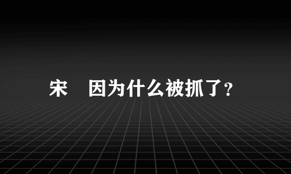 宋喆因为什么被抓了？