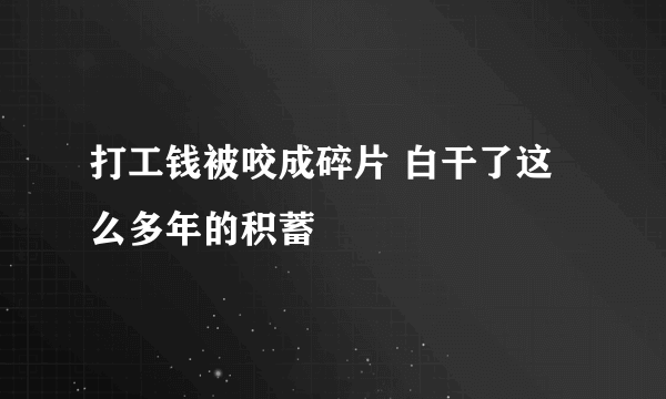 打工钱被咬成碎片 白干了这么多年的积蓄