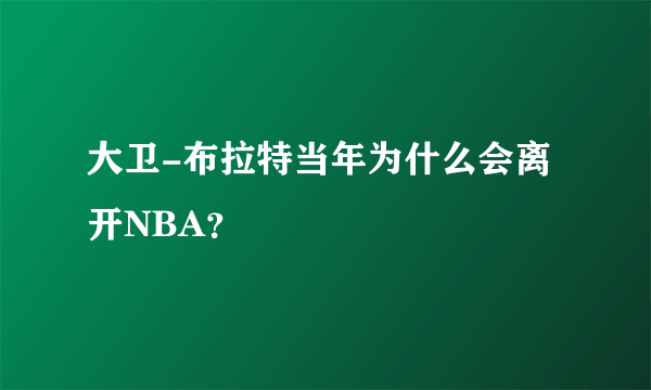 大卫-布拉特当年为什么会离开NBA？