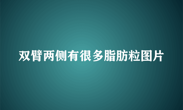 双臂两侧有很多脂肪粒图片