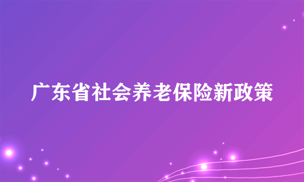 广东省社会养老保险新政策