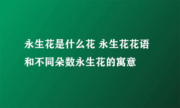 永生花是什么花 永生花花语和不同朵数永生花的寓意