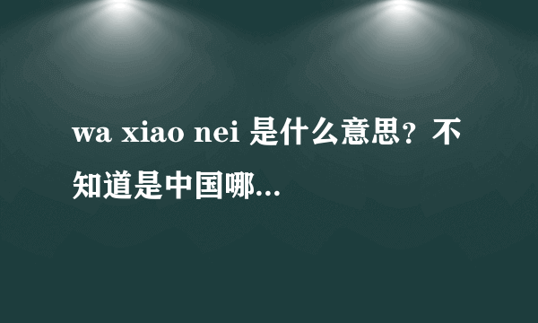 wa xiao nei 是什么意思？不知道是中国哪个地方的方言