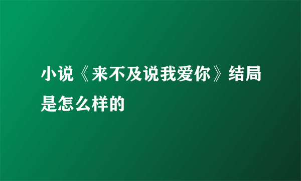 小说《来不及说我爱你》结局是怎么样的