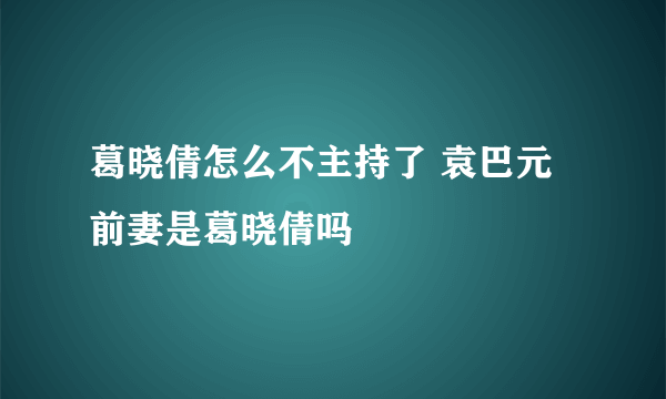 葛晓倩怎么不主持了 袁巴元前妻是葛晓倩吗