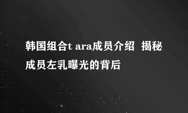 韩国组合t ara成员介绍  揭秘成员左乳曝光的背后