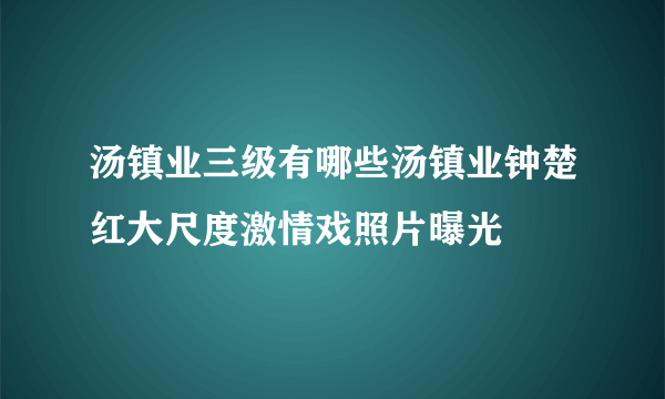 汤镇业三级有哪些汤镇业钟楚红大尺度激情戏照片曝光