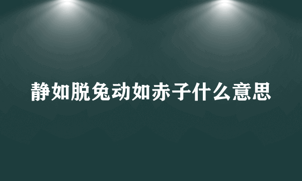 静如脱兔动如赤子什么意思